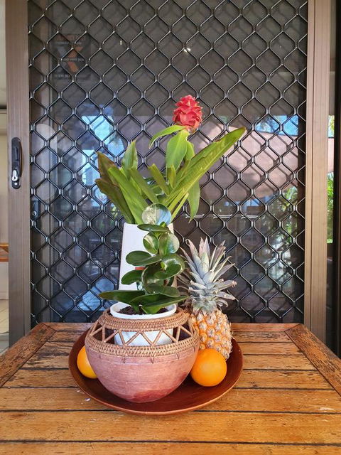 The Balinese - Accommodation Daintree 2