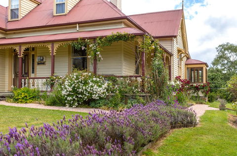 Cambridge House Bed & Breakfast - Accommodation Daintree 4