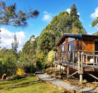 Southern Forest Accommodation - Accommodation Daintree