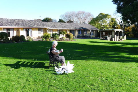 Willaway Motel Apartments - Accommodation Daintree 10