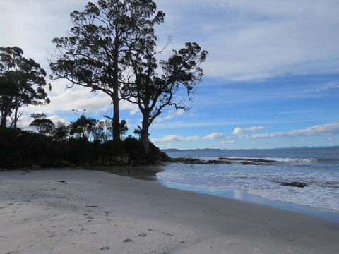 Captain Cook Holiday Park - Accommodation Daintree 9