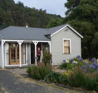 Sassafras Springs - Accommodation Daintree
