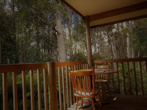 Cradle Forest Inn - Accommodation Daintree 2