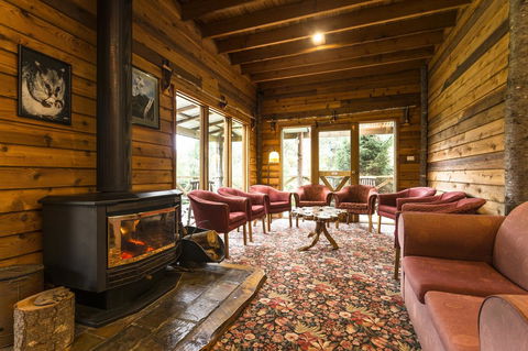 Cradle Forest Inn - Accommodation Daintree 1