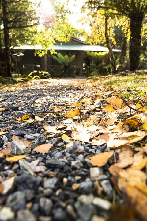Cradle Forest Inn - Accommodation Daintree 35