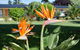 Beachway Motel - thumb 21