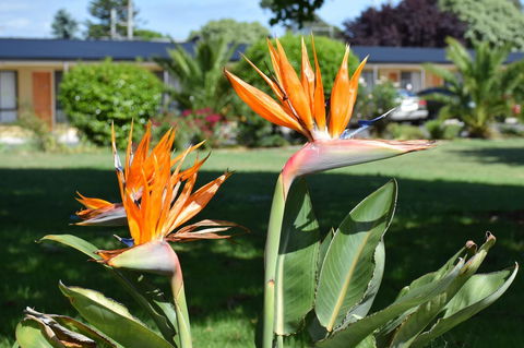 Beachway Motel - Accommodation Daintree 21