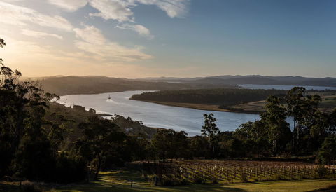 Domescapes In The Vines - Accommodation Daintree 10