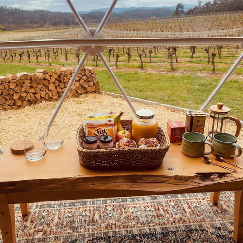 Domescapes In The Vines - Accommodation Daintree 11