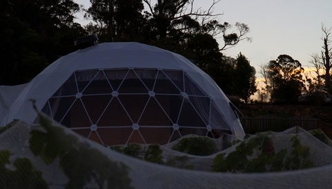 Domescapes In The Vines - Accommodation Daintree 12