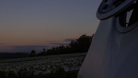 Domescapes In The Vines - Accommodation Daintree 4