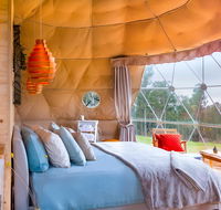 Domescapes in the Vines - Accommodation Daintree