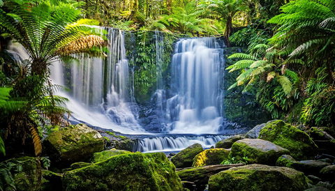 Domescapes In The Vines - Accommodation Daintree 13