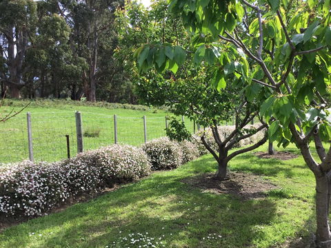 Nextdoor@portarthur - Accommodation Daintree 18