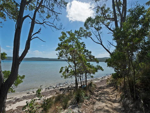 Cloudy Bay Lagoon Estate - Accommodation Daintree 18