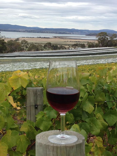 Bellerive Marina View Apartments No 28 - Accommodation Daintree 31