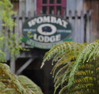The Wombat Lodge - Accommodation Daintree