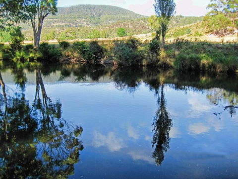 Platypus Playground Riverside Cottage - Accommodation Daintree 24