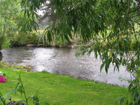 Platypus Playground Riverside Cottage - Accommodation Daintree 13