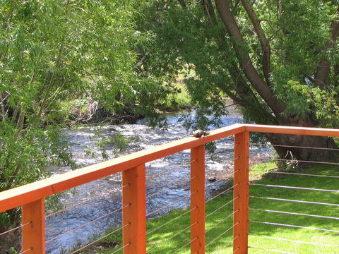 Platypus Playground Riverside Cottage - Accommodation Daintree 11