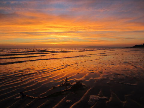 Boathouse Resort Studios And Suites - Accommodation Daintree 14