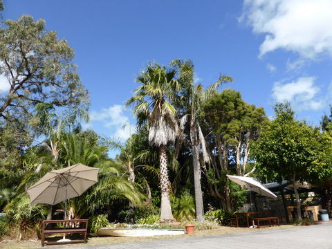The Balnarring Motel - Accommodation Daintree 8