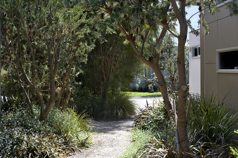BIG4 Ingenia Holidays Queenscliff Beacon - Accommodation Daintree 13