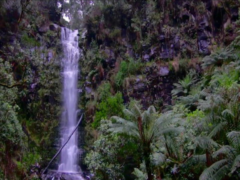 Great Ocean Road Resort - Accommodation Daintree 16