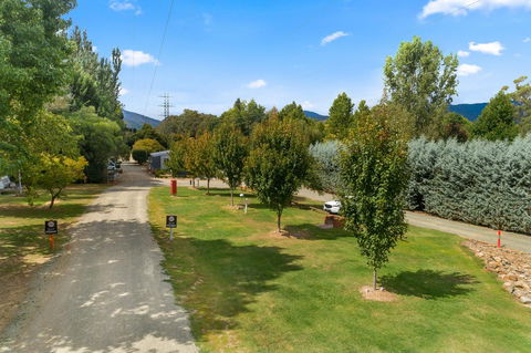 Bright Riverside Holiday Park - Accommodation Daintree 16
