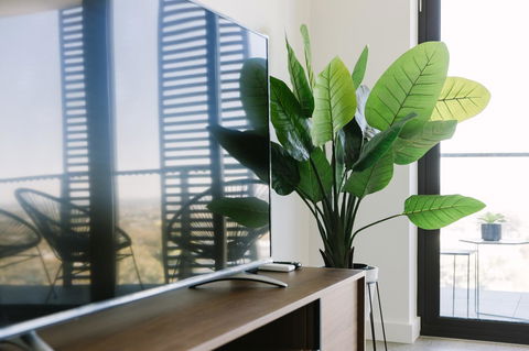 SSP GardenHill - Accommodation Daintree 12