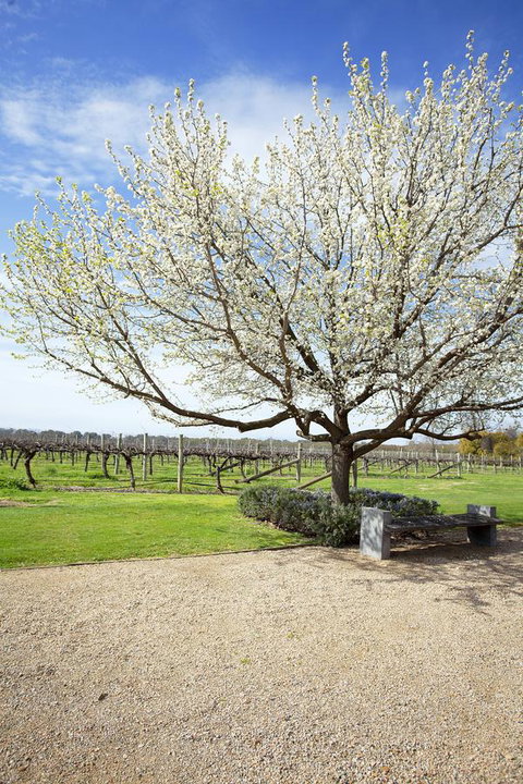 Lancemore Milawa - Accommodation Daintree 12