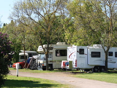 Tasman Holiday Parks - Geelong - Accommodation Daintree 21