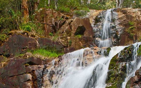 Marysville Caravan And Holiday Park - Accommodation Daintree 37