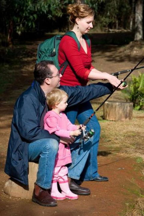 Marysville Caravan And Holiday Park - Accommodation Daintree 22