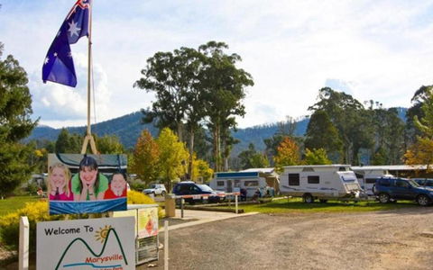 Marysville Caravan And Holiday Park - Accommodation Daintree 34