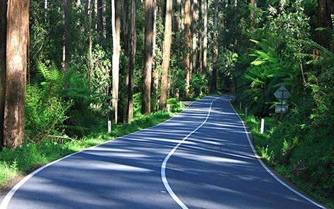 Marysville Caravan And Holiday Park - Accommodation Daintree 40
