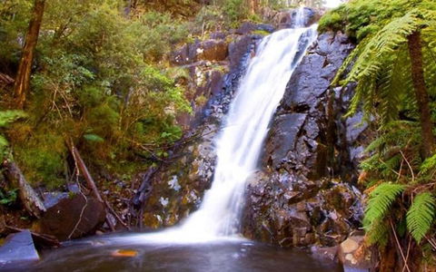 Marysville Caravan And Holiday Park - Accommodation Daintree 32