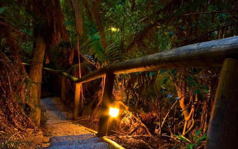 Marysville Caravan And Holiday Park - Accommodation Daintree 27