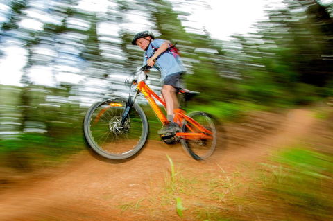 Discovery Parks - Bright - Accommodation Daintree 24