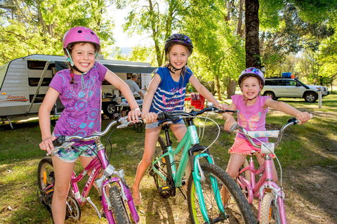 Discovery Parks - Bright - Accommodation Daintree 10