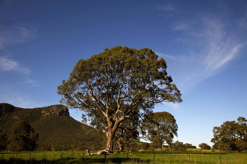 Dunkeld Studio Accommodation - Accommodation Daintree 23