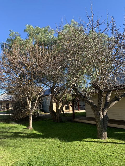 Dunkeld Studio Accommodation - Accommodation Daintree 4