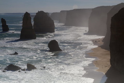 The Dolphin Apartments - Accommodation Daintree 10