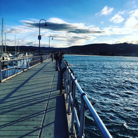 The Dolphin Apartments - Accommodation Daintree 16