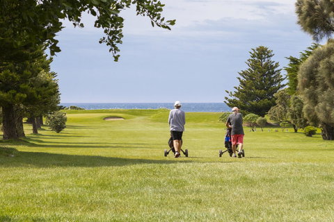 The Dolphin Apartments - Accommodation Daintree 19