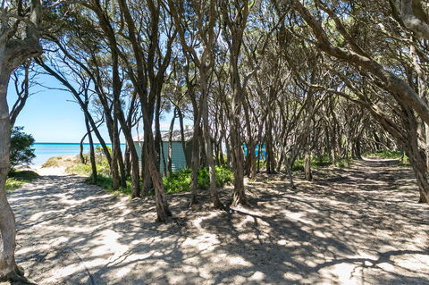 Blairgowrie Bella - Light Filled Home With Great Deck - Accommodation Daintree 12