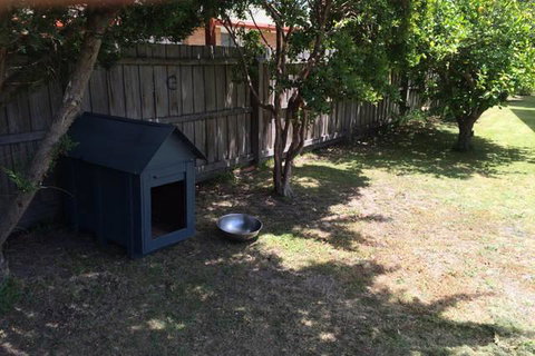 Jacaranda House - Accommodation Daintree 9