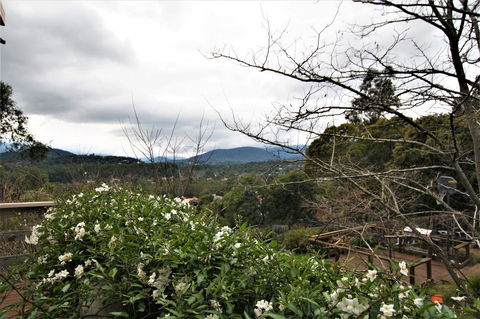 Hamptons In Healesville - Accommodation Daintree 13
