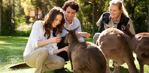 Balgownie Estate Yarra Valley - Accommodation Daintree 10