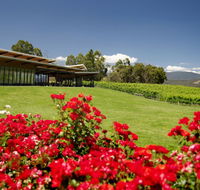 Balgownie Estate Vineyard Resort  Spa - Accommodation Daintree